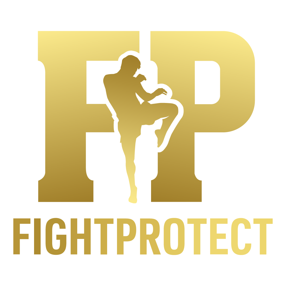 Fighter Protect